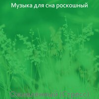 Чувство (Работа) - Музыка для сна роскошный