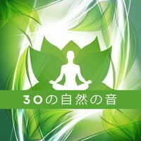 リラックスと静けさ - 自然の音と音楽