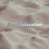 New Dawn - Calm Meditation & Calm Relaxation & Calming Relaxing Music