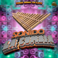 Dust In The Wind - Sonido la cumbia