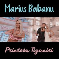 Printesa Tiganiei - Marius Babanu