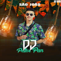 Amor Falso - Dj Peter Pan