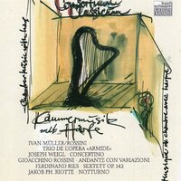 Sextet for harp, piano, clarinet, horn, bassoon and double-bass, Op. 142: I. Allegro ma non troppo - Consortium Classicum
