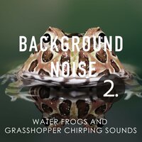 Water Frogs and Grasshopper Chirping Sounds, Pt. 6 - Thomas O'Reilly