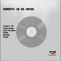 Crazy House - Roberth in Da House