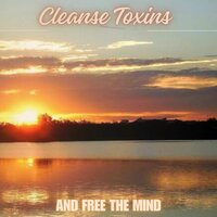 Promotes Serenity - Symphony Orchestra Anti-Stress Sound