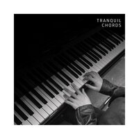 Piano Lounge - Acoustic Piano Collective