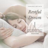 Sleep Rhythm - Echo of Light