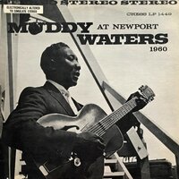 I Got My Brand on You/Hoochie Choochie/Baby, Please Don't Go/Soon Forgotten/ Tiger In Your Tank/I Feel So Good/Got My Mojo Working (Pt. 2 / Live - Muddy Waters