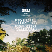 WARUM - SBM & Konz & Hugo Nameless