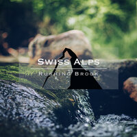 Swiss Alps - Rushing Brook, Pt. 4 - Naturalis & Noise Academy