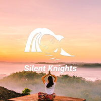 Relaxing White Noise Air - Silent Knights