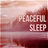 The Perfect Place (Inner Peace) - Deep Sleep Meditation Oasis
