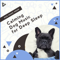Relaxing Piano on the Beach - Dog Music Hour & Relaxing Music for Dogs & Relaxing Puppy Music