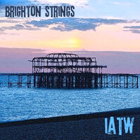 Brighton Strings - I Am The Woodstar