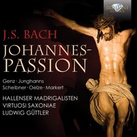 Johannes Passion, BWV 245, Pt. 1: Chorale. "Wer hat dich so geschlagen" - Virtuosi Saxoniae & Hallenser Madrigalisten & Johann Sebastian Bach