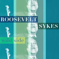 Hupe Dupe Do - Roosevelt Sykes