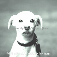 Атмосфера (Собаки Щенки) - Музыка для собак Ритмы
