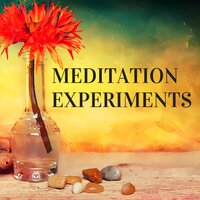 Zen (Zen Music) - Asana Perkins & Positive Mind Orchestra & Asana Perkins & Positive Mind Orchestra