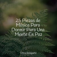 Briza De La Playa - Ioga & Sonidos de la Naturaleza para Dormir & Canciones de Cuna 101