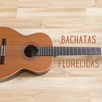 Chica Salvaje - Ramon Torres