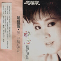 願你莫忘記 - 龍飄飄