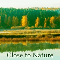Study Motivation - Life Sounds Nature