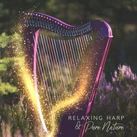 Open Blue Sky - Anandra