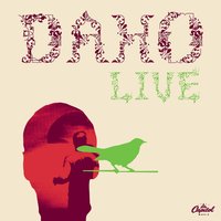 Jungle Pulse - Etienne Daho