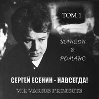 Пой же, пой... (цыганочка) - Vir Varius Projects