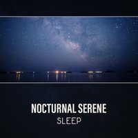 Blissful Touch - Deep Sleep Music Society
