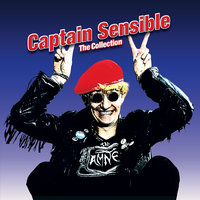 (What D'Ya Give) The Man Who's Gotten Everything - Captain Sensible