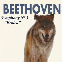 Symphony No. 3 in E-Flat Major, Op. 55: II. Marcia funebre. Adagio assai - Ludwig van Beethoven & SWF Symphony Orchestra Baden-Baden