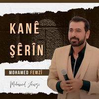 Dîdna Te - Mohamed Fewzî