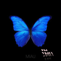 Ты Убил - Miau