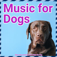 Gentle Breezes - Relax My Dog & Dog Music Dreams & RelaxMyDog