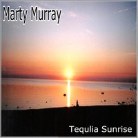 Catch the Wind - Marty Murray