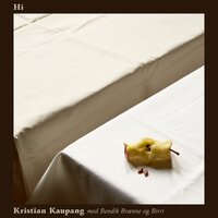 Hi - Kristian Kaupang & Bendik Brænne & Birri