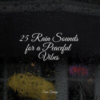 Forest, Rain, Birds, Winter - ASMR Rain Sounds & White Noise Nature Sounds Baby Sleep & Ambient Rain
