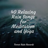 Gentle Lapping Waves - Binaural Creations & Meditação Maestro & Rest & Relax Nature Sounds