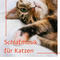 Allein zu Hause - Entspannungsmusik Universe