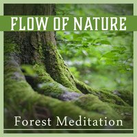 Bring Peace - Zen Natural Sounds