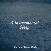 Serene & Soothing - Study Music & Relaxing Sleep Sound & Serenity Spa Music Relaxation