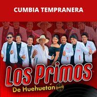 El Navegante / Chilena Mixteca - Los Primos De Huehuetan