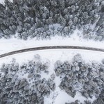 Лучшие новинки января 2017