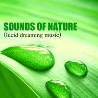 Soundscapes of Dreaming - REM Sleep Inducing