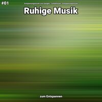 Ruhige Musik Teil 2 - Entspannungsmusik Lino Gangels & Schlafmusik & Entspannungsmusik
