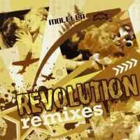Revolution - Molella