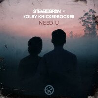 Need U - Steve Brian & Kolby Knickerbocker