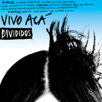 Vengo del Placard de Otro - Divididos